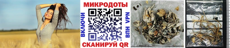 Псилоцибиновые грибы MAGIC MUSHROOMS  Шилка 