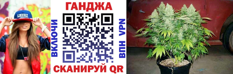 гидра   Шилка  Канабис SATIVA & INDICA 